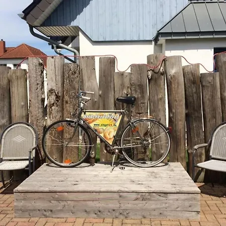 Strandmuschel *